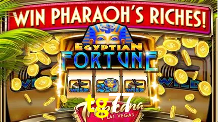 Cassino ao vivo com dealers reais na tg77