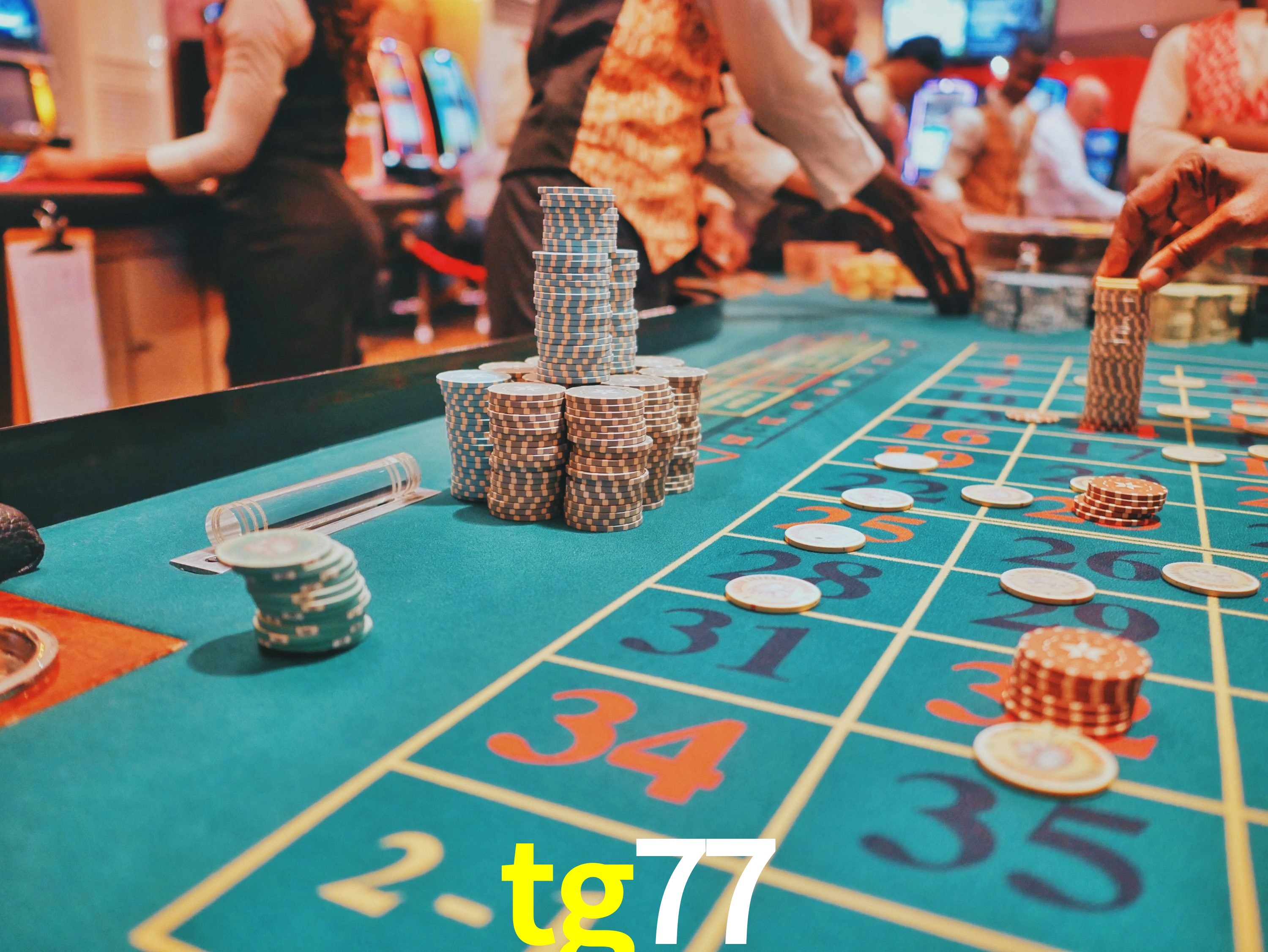 Casino Ao Vivo tg77